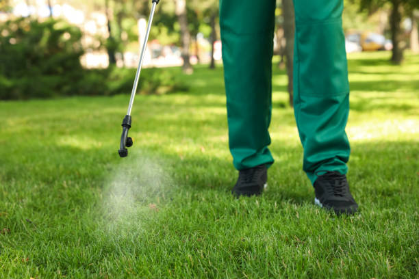 Best Best Pest Control Near Me  in Richton, MS