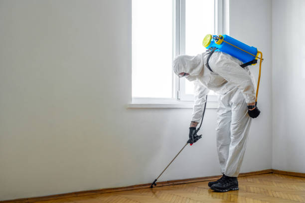 Best Rat Extermination Near Me  in Richton, MS