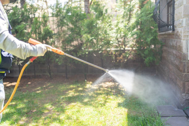 Best Affordable Pest Control Services  in Richton, MS