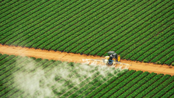 Professional Pest Control in Richton, MS