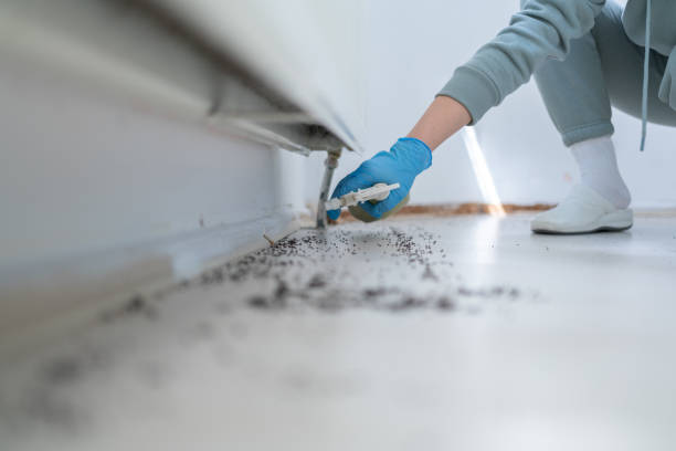Best Residential Pest Control  in Richton, MS